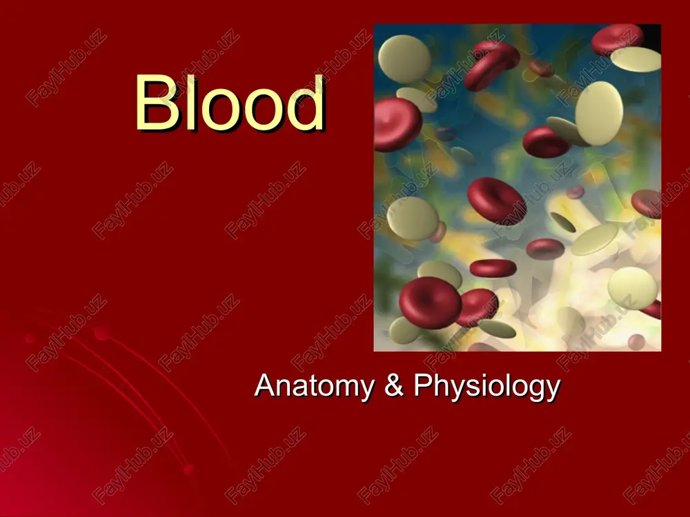 functions of blood — PPT