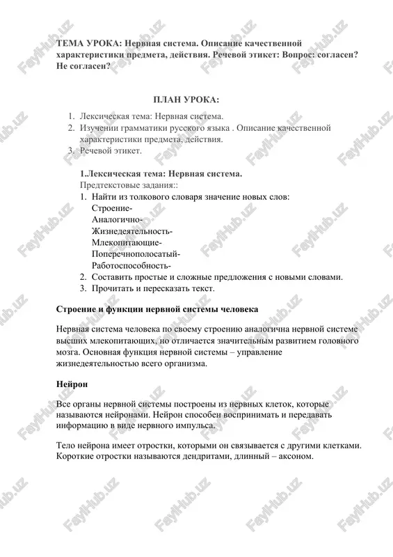 nervnaya sistema — DOCX