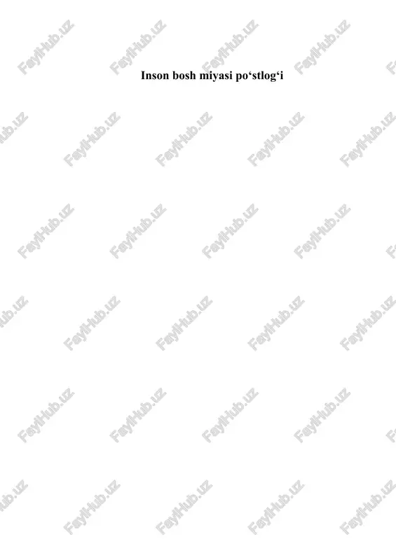 inson bosh miyasi poʻstlogʻi — PDF