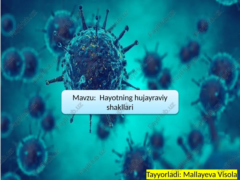 prokaryot va eukaryot hujayralar — PPTX