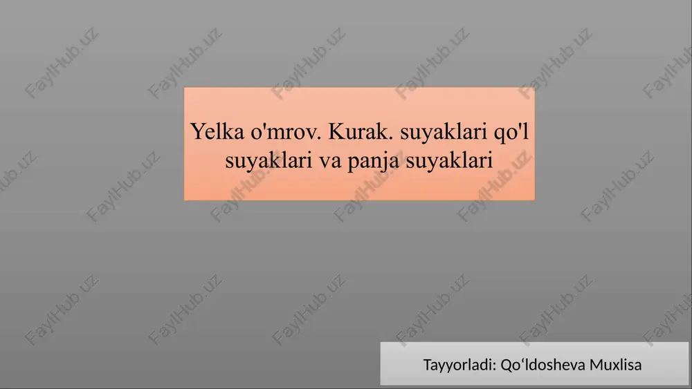 yelka, o‘mrov, kurak va qo‘l suyaklari anatomiyasi — PPTX