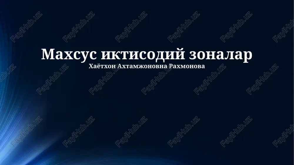 maxsus iqtisodiy zonalar — PPTX