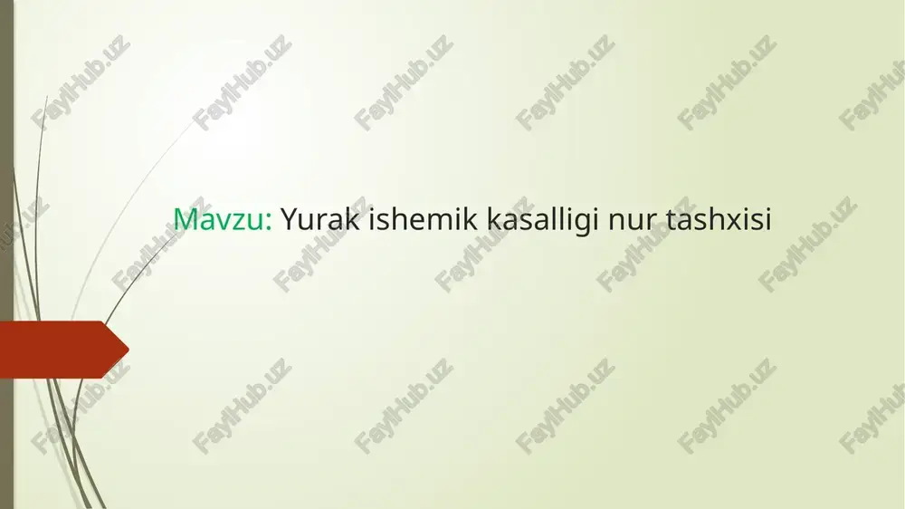yurak ishemik kasalligi nur tashxisi — PPTX