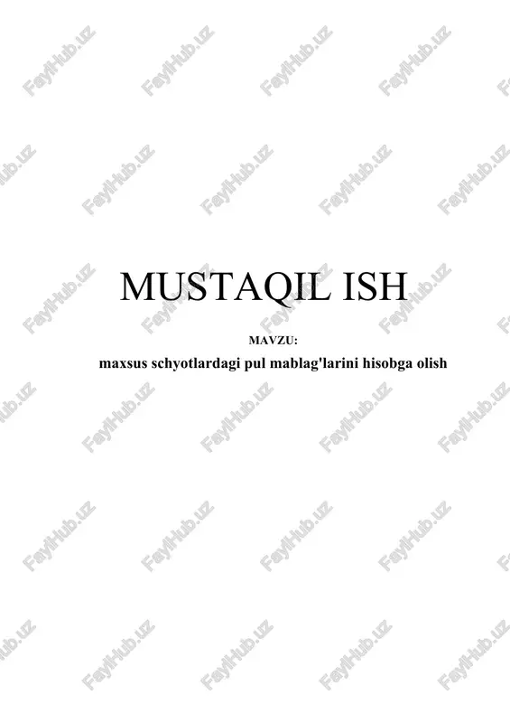 pul mablag'larini hisobga olish — DOCX