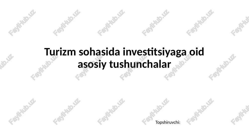 turizm sohasida investitsiyaga oid asosiy tushunchalar — PPTX