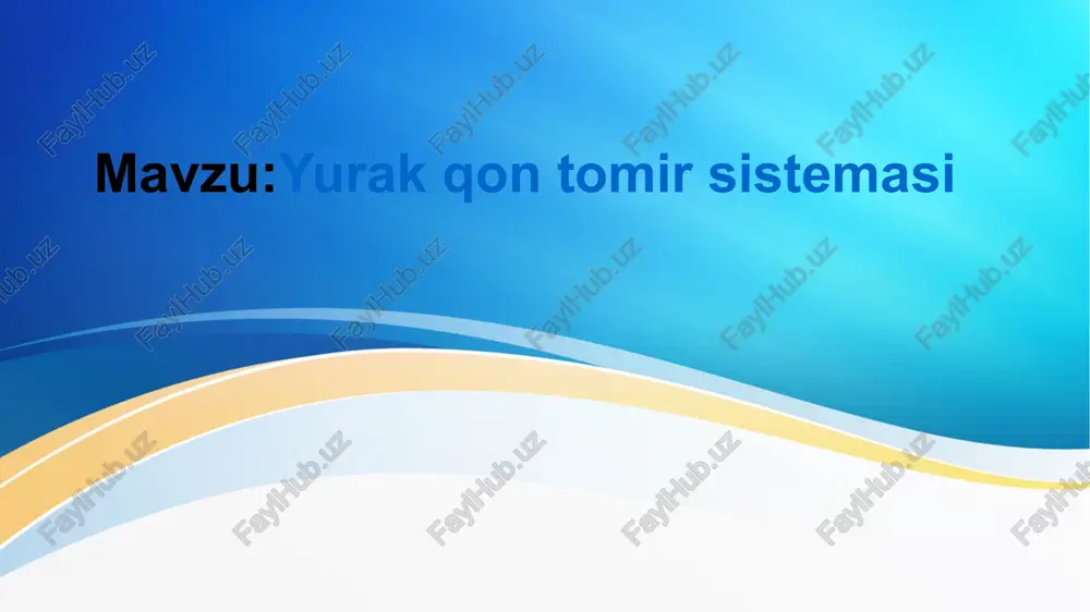 yurak qon tomir sistemasi — PPTX