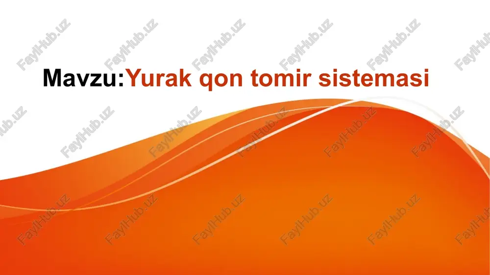 yurak qon tomir sistemasi — PPTX