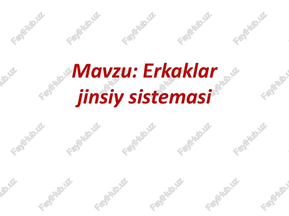 erkaklar jinsiy sistemasi — PPTX