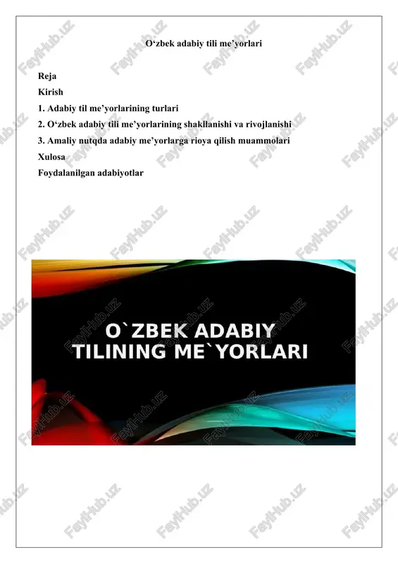 o‘zbek adabiy tili me’yorlari — DOCX
