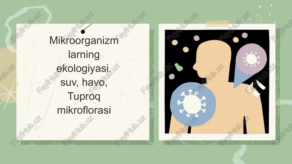 mikroorganizmlar ekologiyasi — PPTX