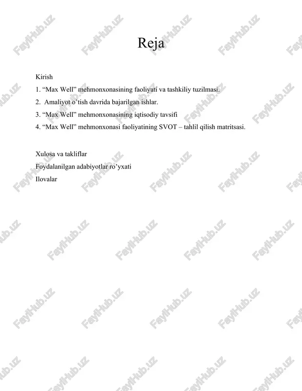 “max well” mehmonxonasining iqtisodiy tavsifi — DOCX
