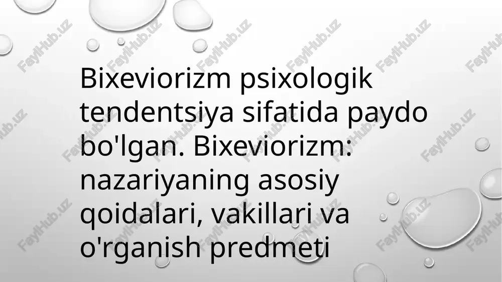 bixeviorizm — PPTX