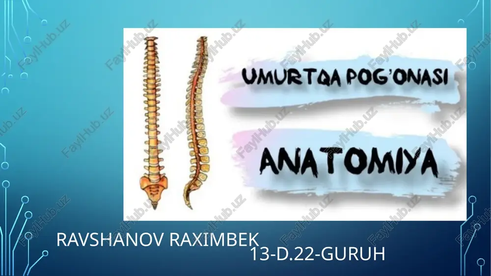 umurtqa pag'onasi anatomiyasi haqida to;liq tranvatologiya — PPTX