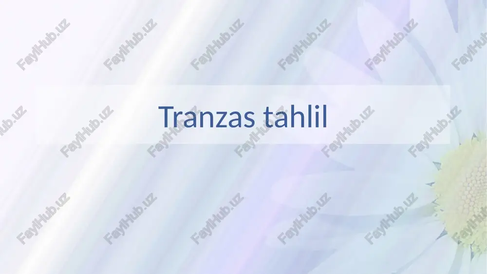tranzastahlil — PPTX