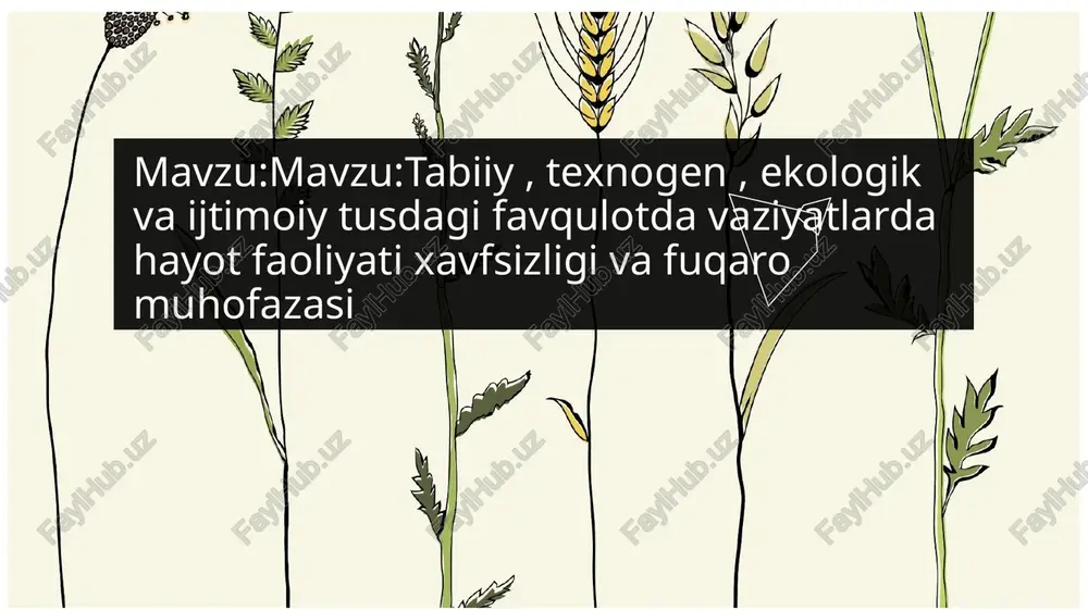 mavzu:mavzu:tabiiy, texnogen, ekologik va ijtimoiy tusdagi favqulotda vaziyatlarda hayot faoliyati x — PPTX