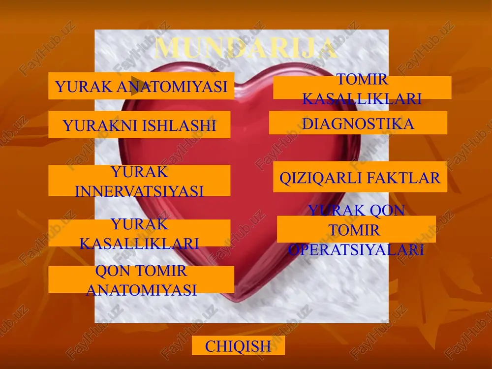 yurak anatomiyasi — PPTX