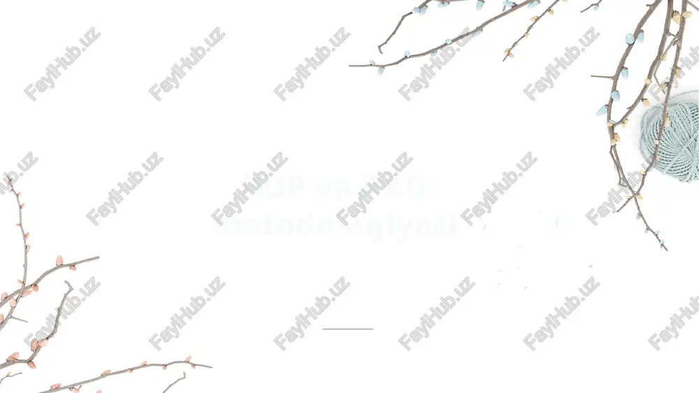rup va rad metodologiyasi — PPTX