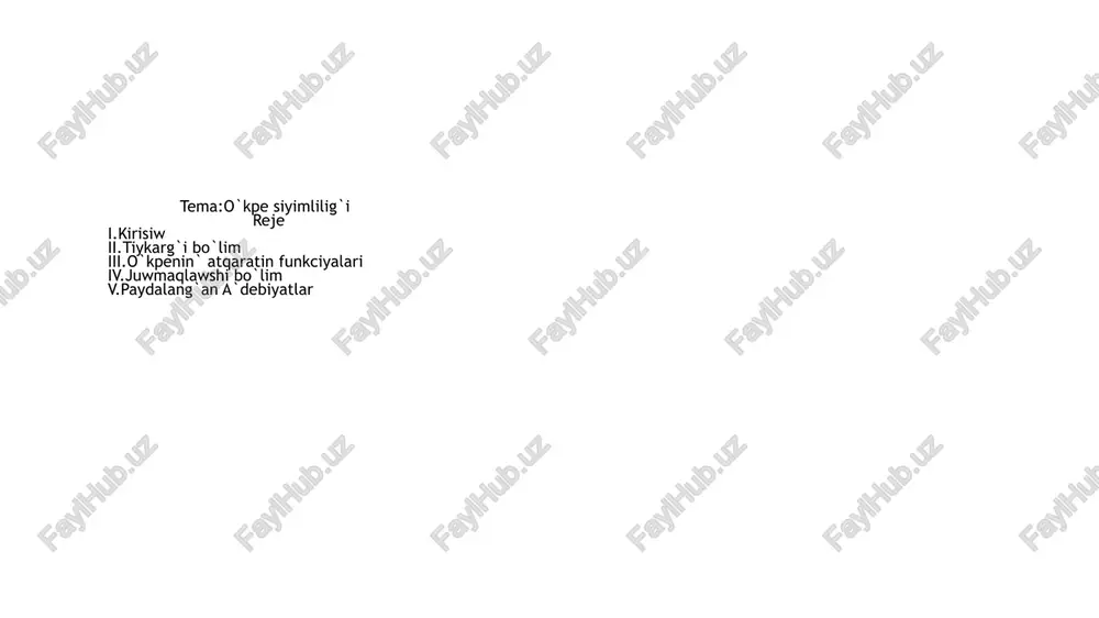 funkcional o`kpe testleri — PPTX