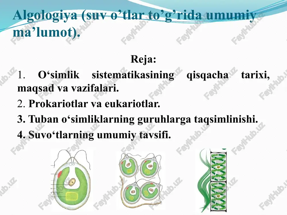 algologiya — PPTX