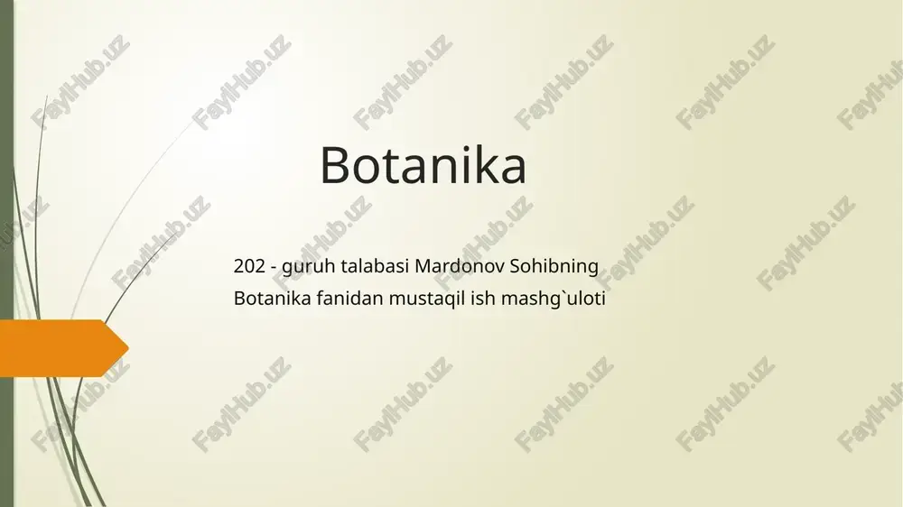 ra`nodoshlar oilasining asosiy turkum va turlari — PPTX
