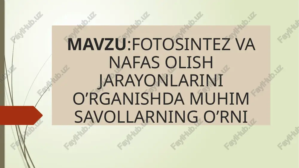fotosintez va nafas olish jarayonlari — PPTX