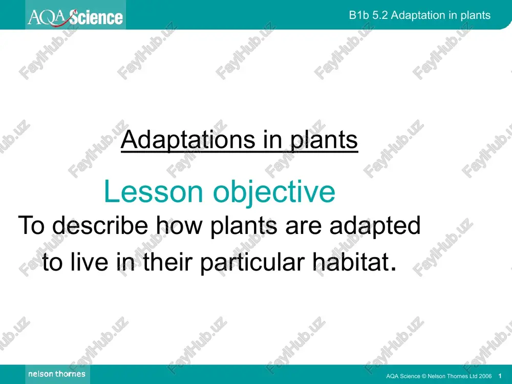 adaptations in plants — PPT