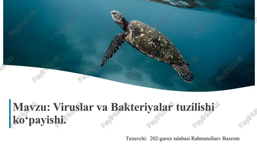 viruslar va bakteriyalartuzilishi — PPTX