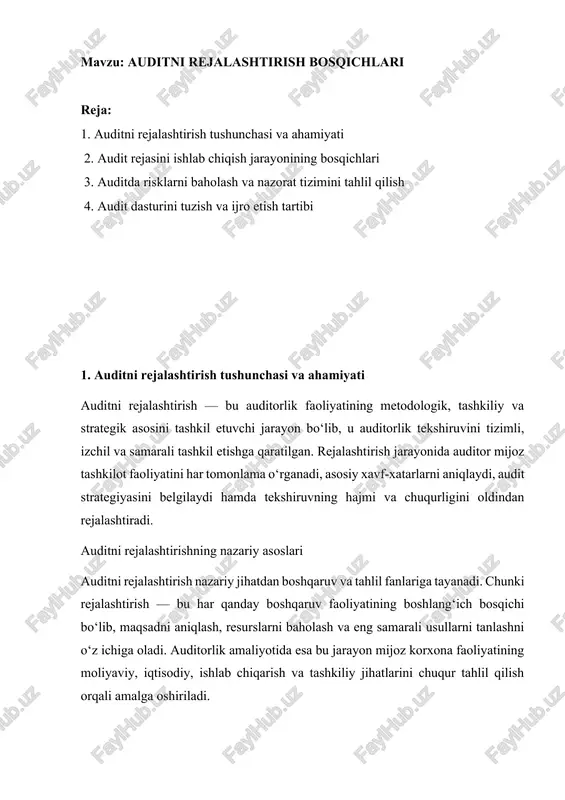 auditni rejalashtirish bosqichlari — DOCX