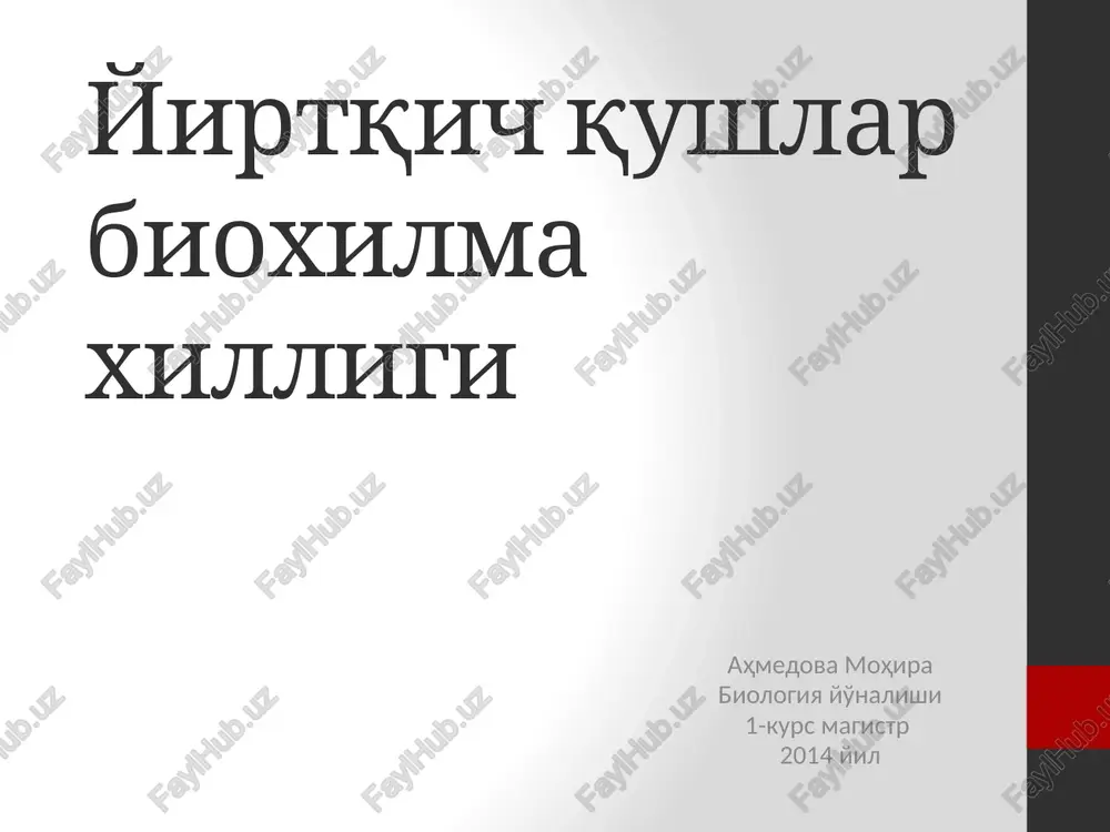 yirtqich qushlar bioxilma xilligi — PPTX