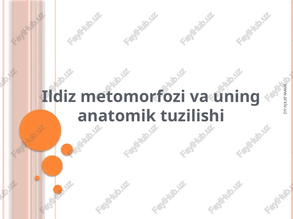 ildizmetomorfozivauninganatomiktuzilishi — PPTX