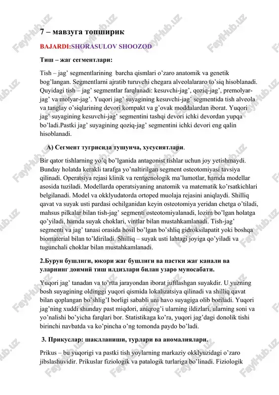 tish – jag’ segmentlari — DOCX