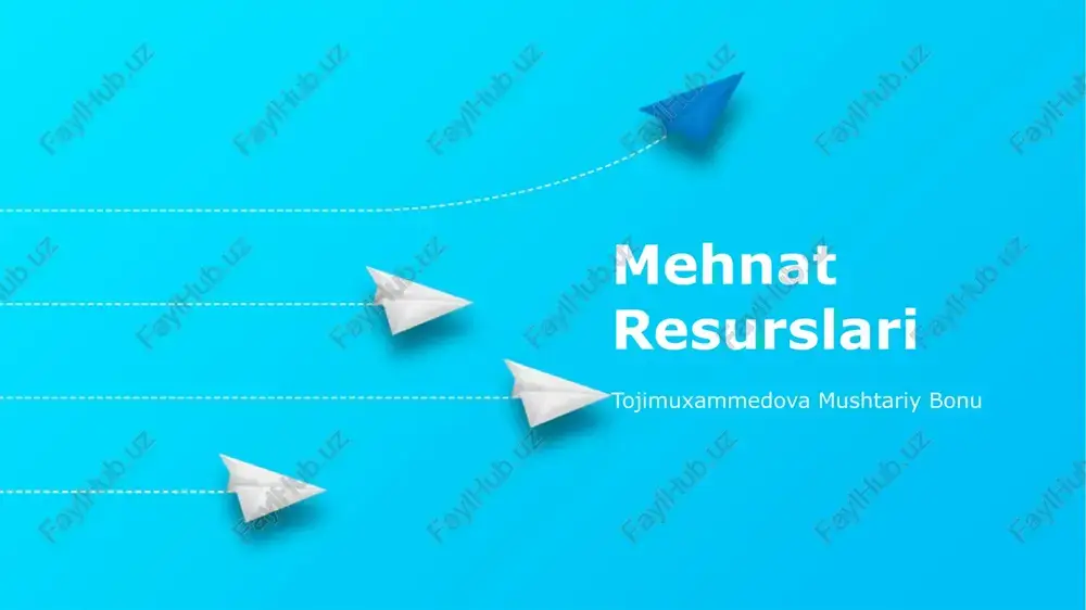 mehnat resurslari — PPTX