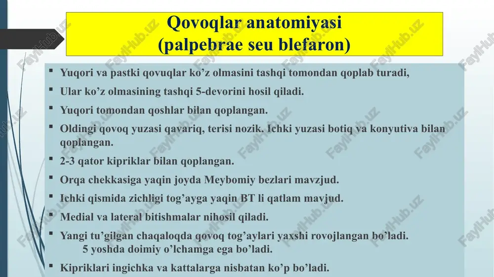 qovoqlar anatomiyasi (palpebrae seblefaron) — PPTX