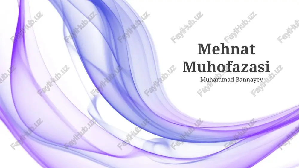 mehnat muhofazasi — PPTX