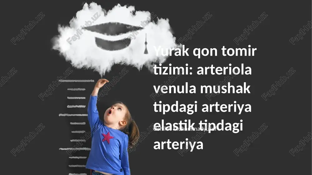 yurak qon tomir tizimi: arteriola venula mushak tipdagi arteriya elastik tipdagi arteriya — PPTX