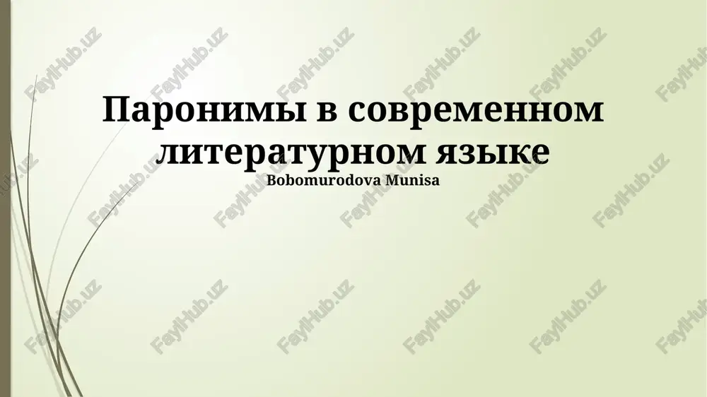 paronimi v sovremennom literaturnom yazike — PPTX