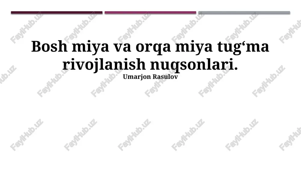 bosh miya va orqa miya tug‘ma rivojlanish nuqsonlari — PPTX