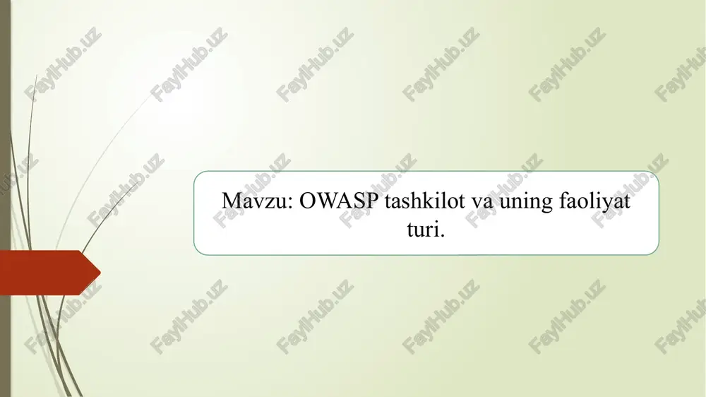 owasp tashkilot va uning faoliyat turi.2 — PPTX
