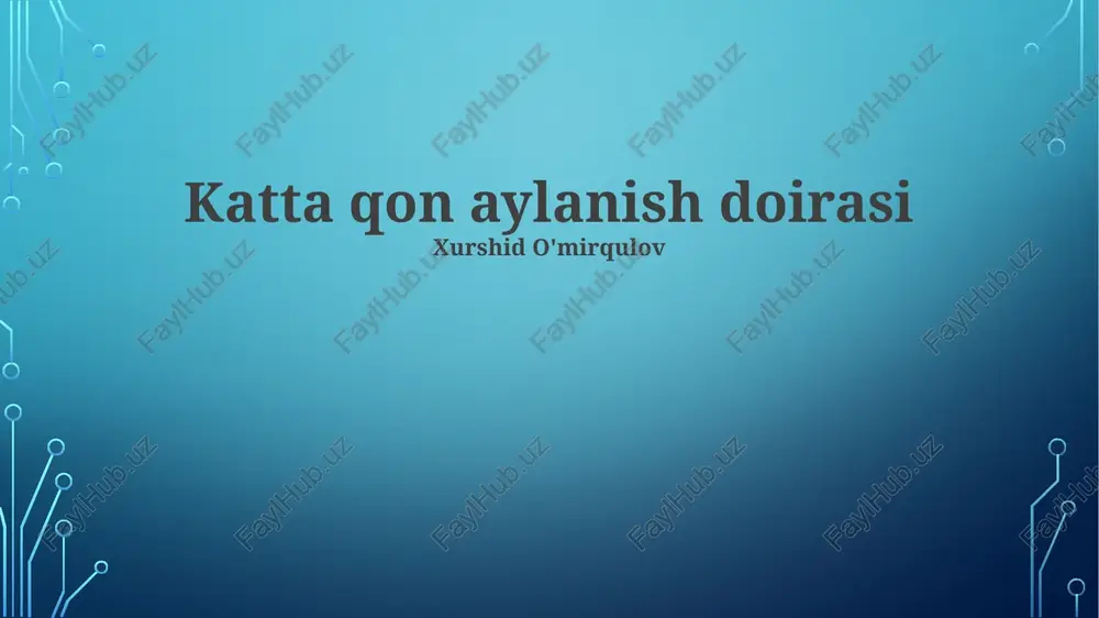 katta qon aylanish doirasi — PPTX