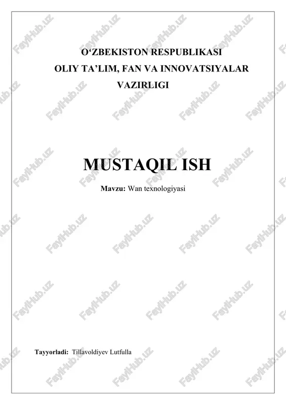wan texnologiyasi — DOCX