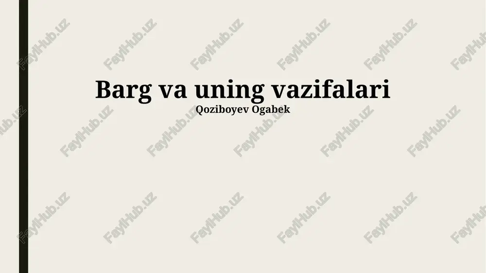 barg va uning vazifalari — PPTX