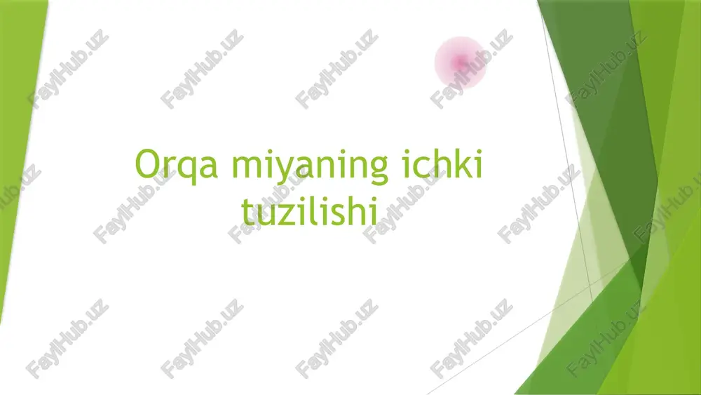 orqa miyaning ichki tuzilishi — PPTX