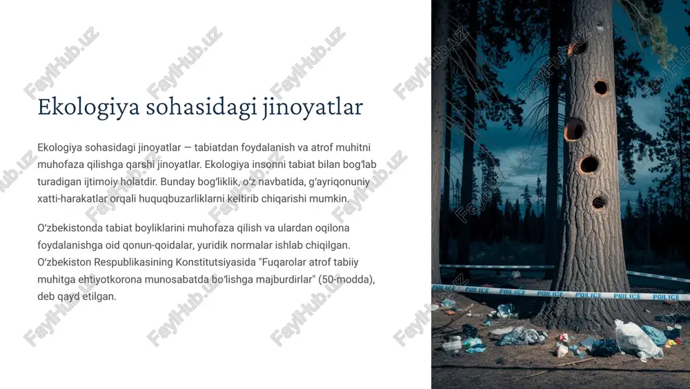 ekologiya sohasidagi jinoyatlar — PPTX