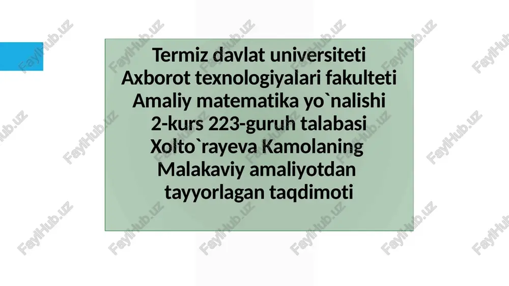 eksperttizimlar va elektron jadvallar — PPTX
