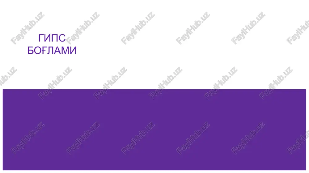 gips bog'lami — PPTX