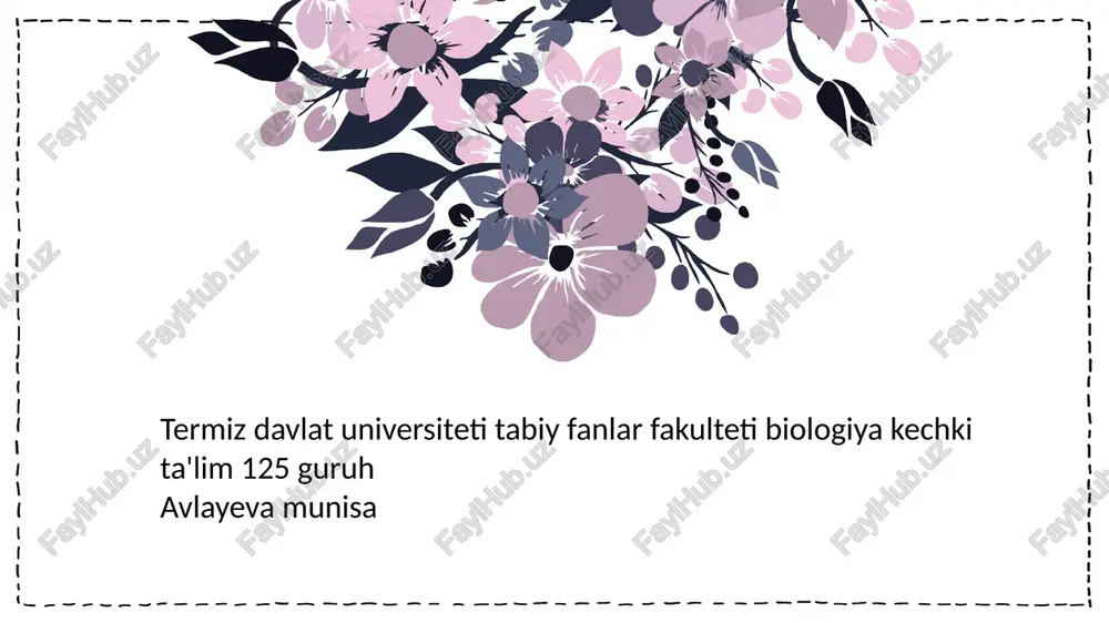 ildizlar tizimi — PPTX