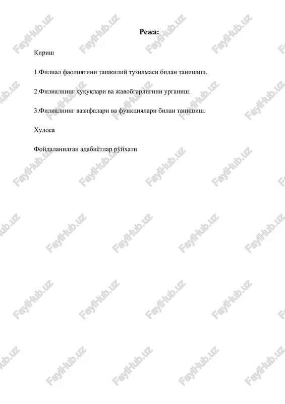 filial faoliyatini tashkiliy tuzilmasi — DOCX