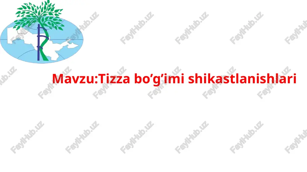 tizza bo’g’imi shikastlanishlari — PPTX