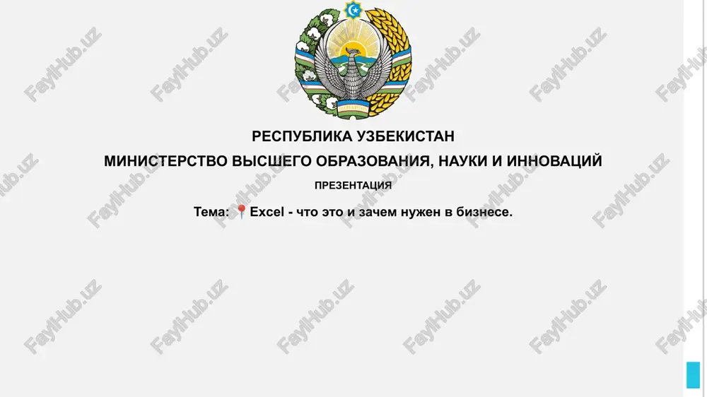 excel -chtoetoizachemnujenvbiznese — PPTX