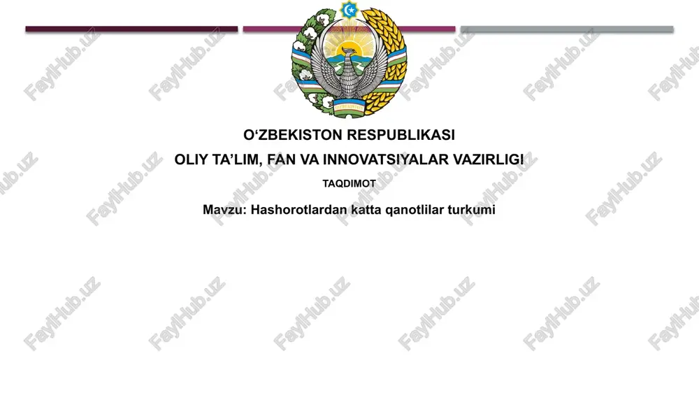 katta qanotli hasharotlar — PPTX